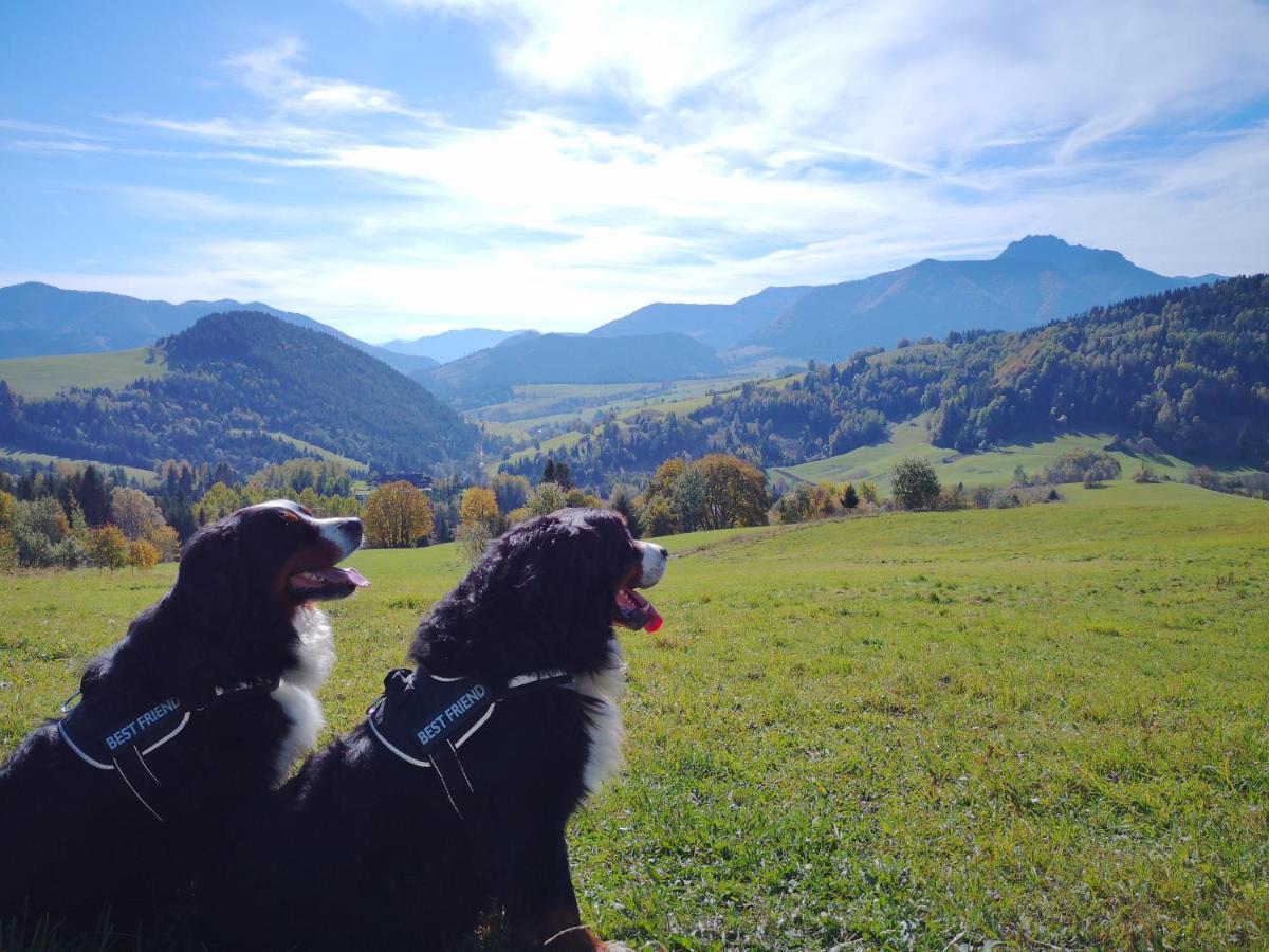 Penzion Zázrifka Zázrivá Exteriér fotografie
