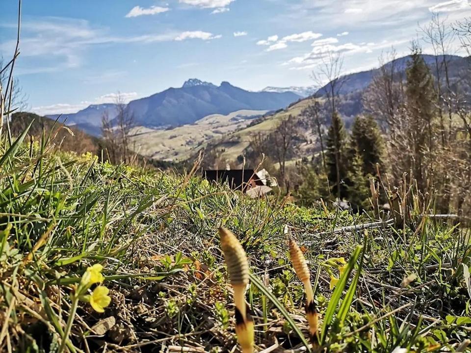 Penzion Zázrifka Zázrivá Exteriér fotografie