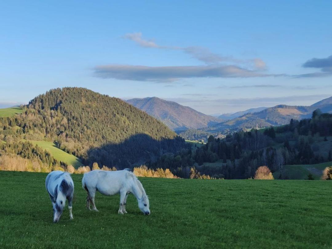 Penzion Zázrifka Zázrivá Exteriér fotografie