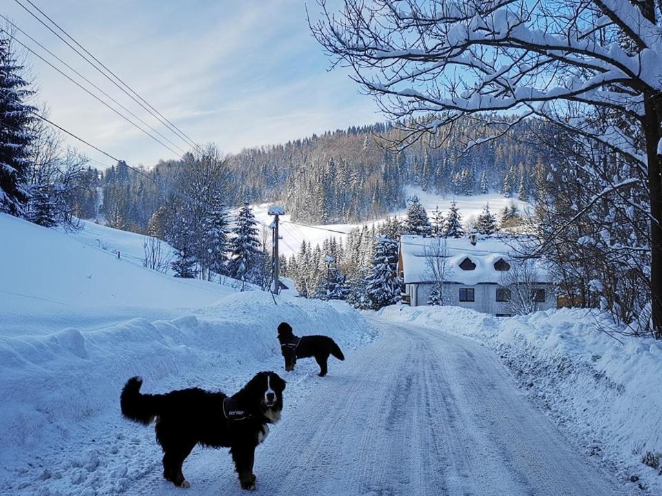 Penzion Zázrifka Zázrivá Exteriér fotografie