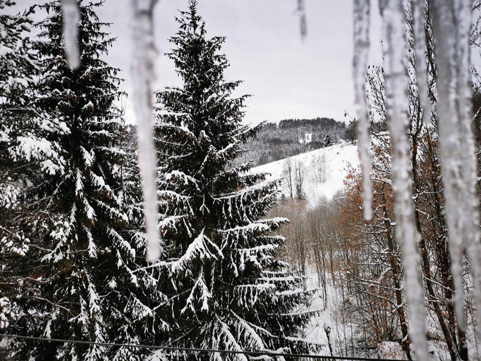 Penzion Zázrifka Zázrivá Exteriér fotografie