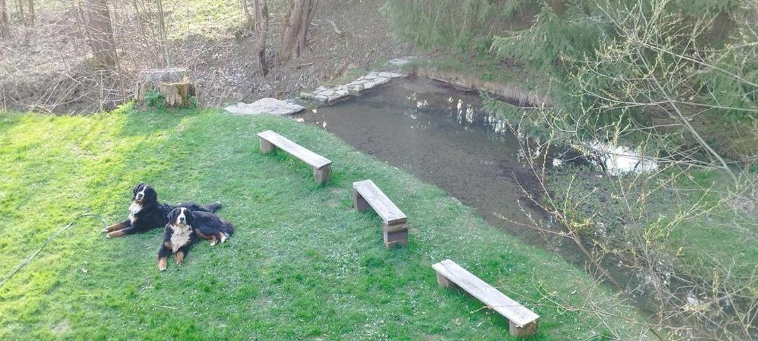 Penzion Zázrifka Zázrivá Exteriér fotografie