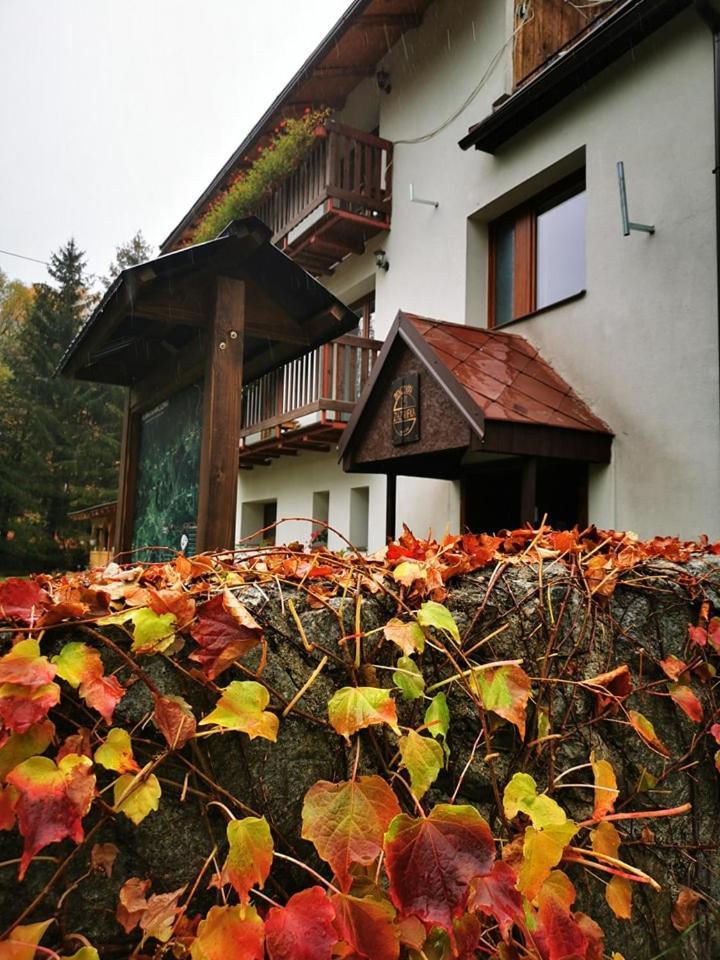 Penzion Zázrifka Zázrivá Exteriér fotografie